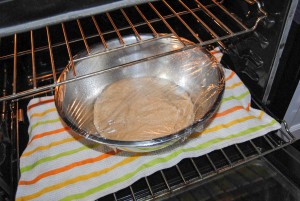 dough rising in warm oven