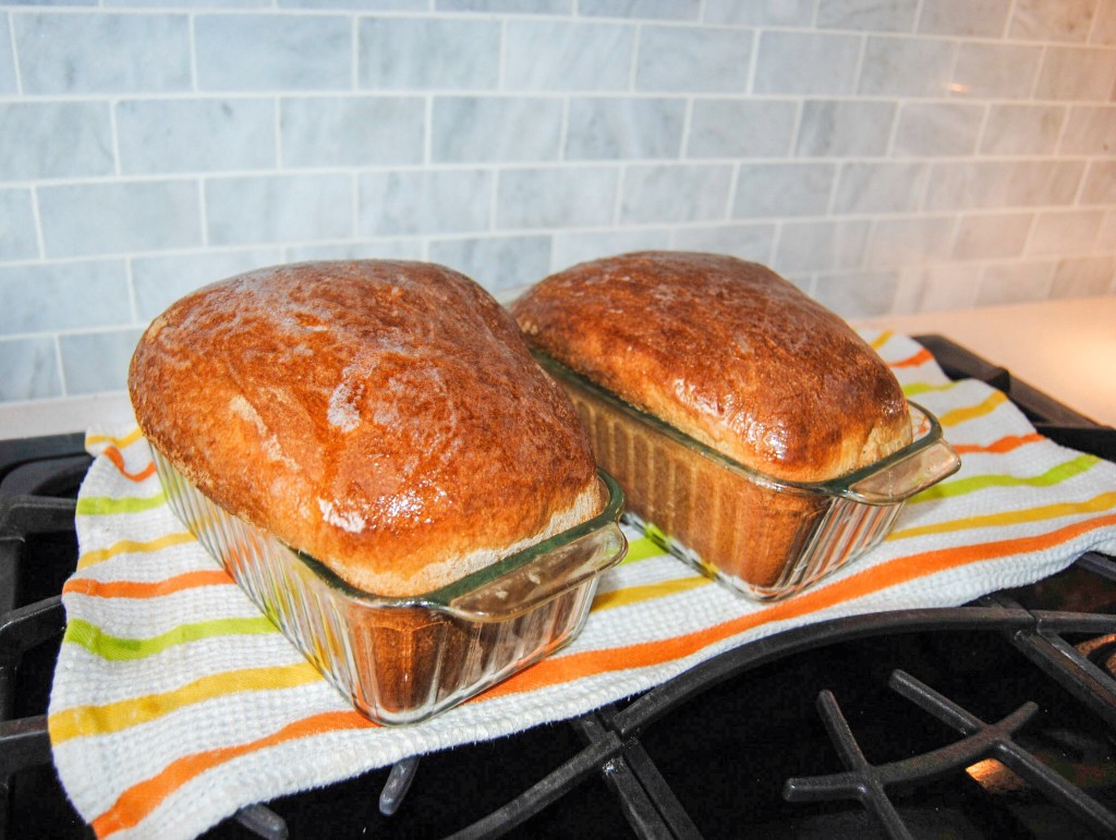 Sweet whole wheat loaves of bread drizzled with butter