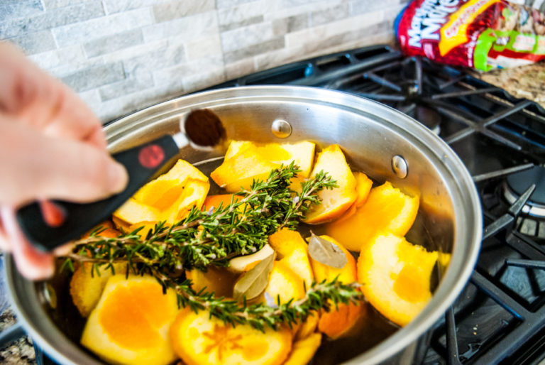 Smoky Apple Spice Turkey Brine Recipe For Your Thanksgiving Feast The